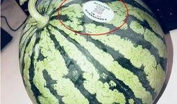 当代吃瓜的网红,揭秘娱乐圈幕后真相